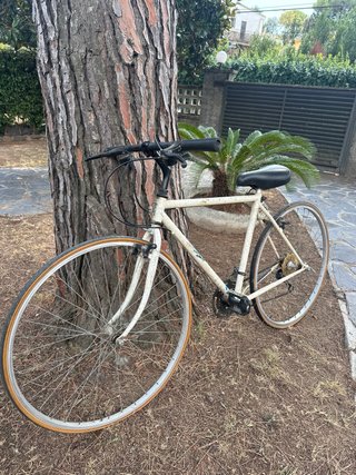 Bicicleta Orbea Vintage