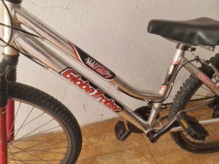 Bicicleta Globe Trotter ALL726S