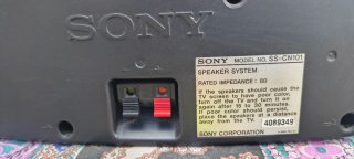Cassa Sony aggiuntiva per auto, camper, TV