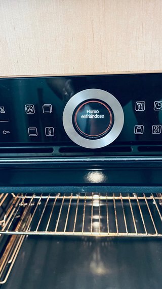 Horno Pirolítico Bosch