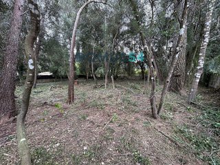 Terreno en venta en Pobla (Sa)