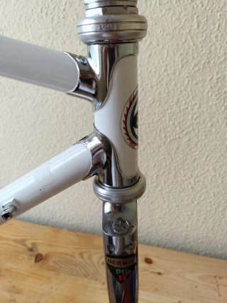 Cuadro Bicicleta Razesa Zeus