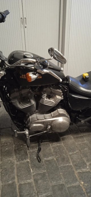 Harley Davidson Sportster 883