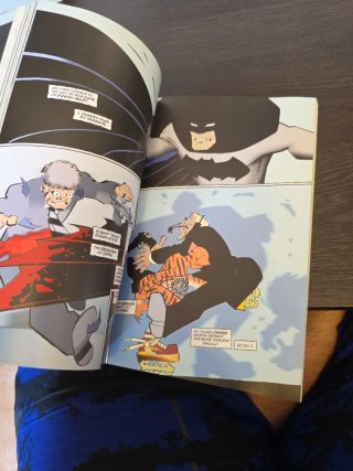 Batman The Dark Knight Strikes Again