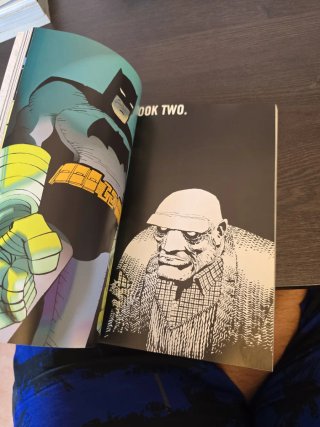 Batman The Dark Knight Strikes Again