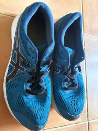 Lote 4 pares zapatillas  Nike, NB, Asics y Paredes