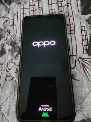 Oppo Reno12 F 5G 256GB Verde 8GB RAM Dual SIM