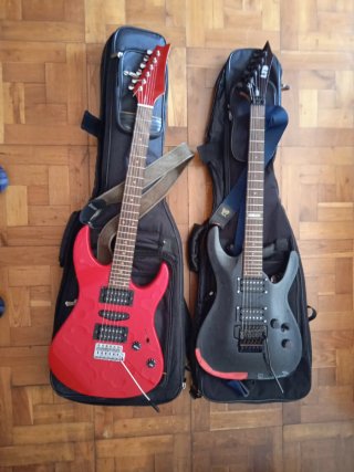 2 Chitarre Elettriche: LTD Originale e Manico