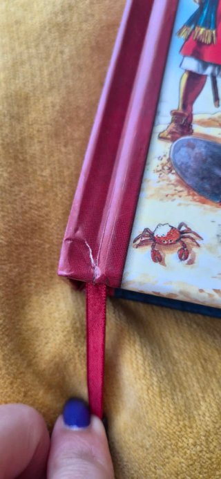Diary of a Pirate Voyage An Interactive Adventu...
