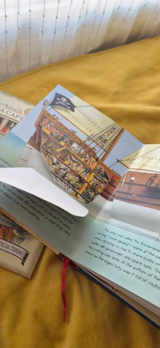 Diary of a Pirate Voyage An Interactive Adventu...