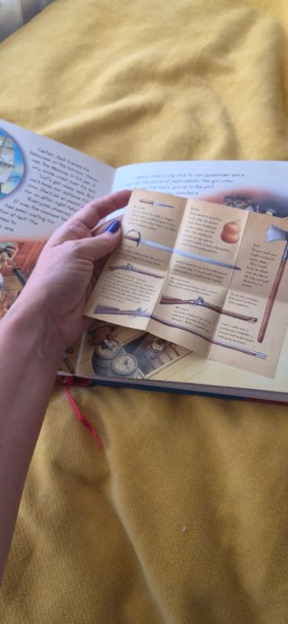 Diary of a Pirate Voyage An Interactive Adventu...