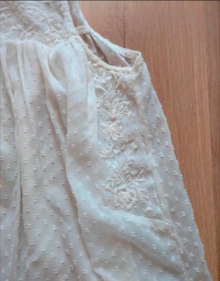 Blusa Zara plumeti bordada