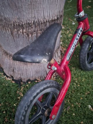 Bicicleta infantil roja
