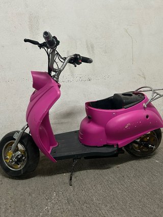 Minivespa rosa