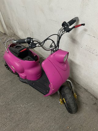 Minivespa rosa