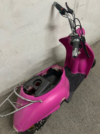 Minivespa rosa