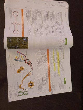 Biología 2 bachillerato, Operación Mundo