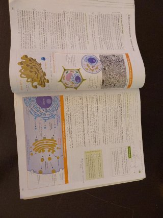 Biología 2 bachillerato, Operación Mundo