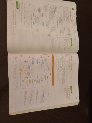 Biología 2 bachillerato, Operación Mundo