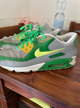 Nike Air Max Sneakers