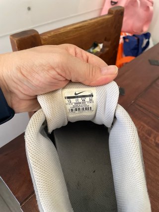 Nike Air Max Sneakers