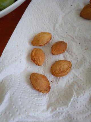 Semillas de ciruelas verdes