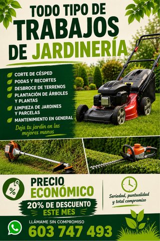 Servicios de Jardinería: Mantenimiento y Limpieza