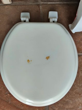 Tapa de WC EUROPA Blanca