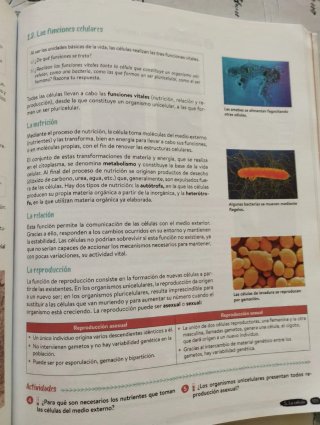 Biología y Geología, 4 ESO, Andalucía