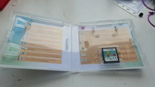 Zelda: Spirit Tracks Nintendo DS