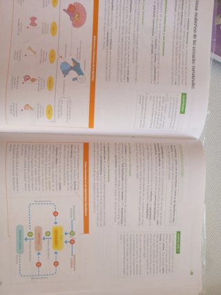 Biología, Geología y Ciencias Ambientales 1 Bac...