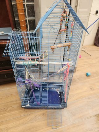 Jaula para pájaros azul