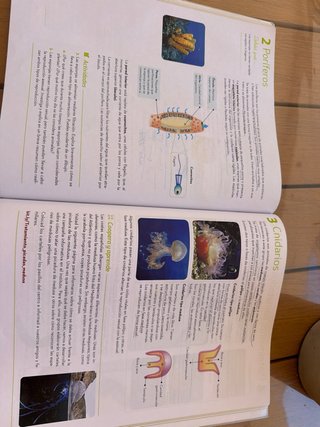 Biología y Geología : 1o ESO