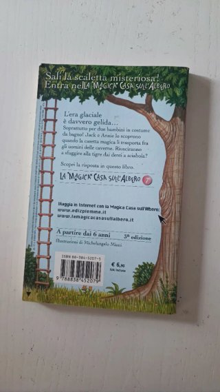 Set 5 libri per ragazzi