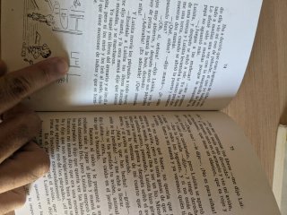 El pequeño Nicolás libro