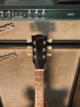 Gibson SG Faded 2009 Walnut