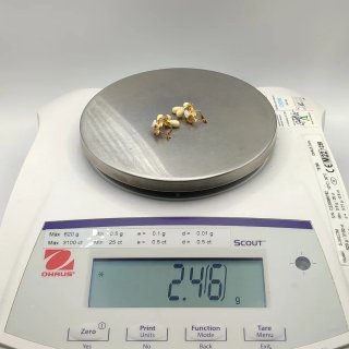 00742 PENDIENTES TIPO CORAL BALNCO DE ORO DE 18K