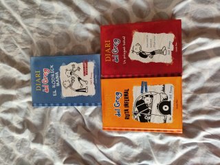 Lote 3 libros catalán Diari del Greg