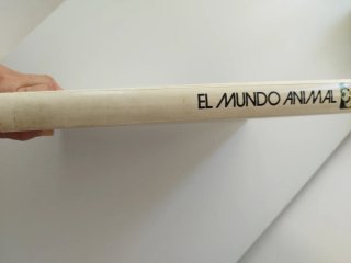 El Mundo Animal