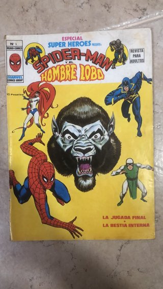 Lote 4 Cómics Spider-Man (y...) Ediciones Vértice