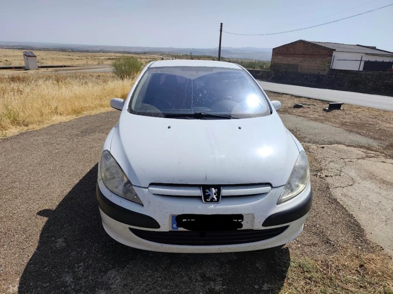 Peugeot 307 2004 - foto 1