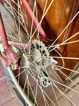 Bicicleta Stevens XL Ruedas 29”