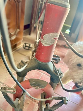 Bicicleta Stevens XL Ruedas 29”