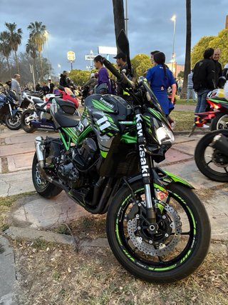 Alerón delantero Z900