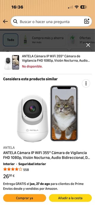 Cámara WiFi Interior Antela