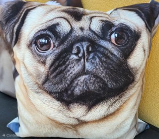 Almofada Cão Pug Bege e Castanho