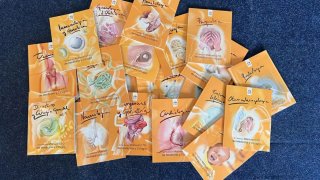 Manuales CTO 14° edición Medicina NUEVOS sin usar