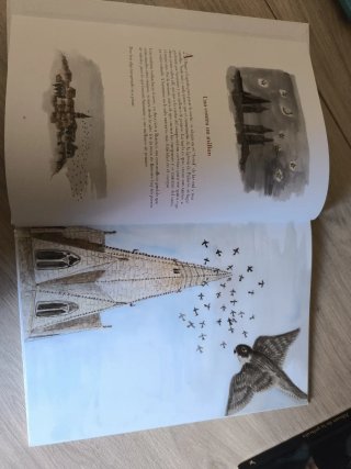 Libro bilingüe El estornino Saturnino