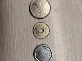 Lote de monedas en funda