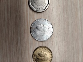 Lote de monedas en funda